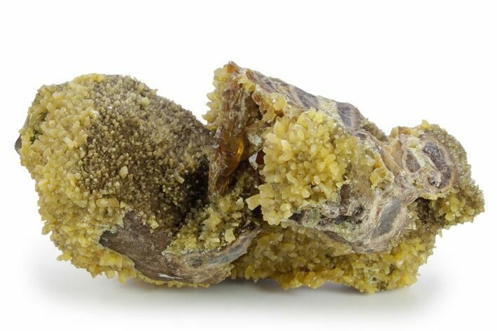 Honey Colored Barite Crystals on Fluorescent Calcite - Elk Creek #348128